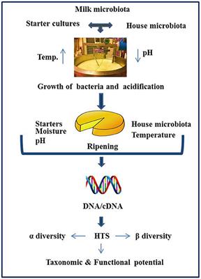 Sequencing of the Cheese Microbiome and Its Relevance to Industry